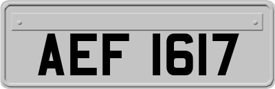 AEF1617