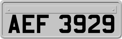 AEF3929