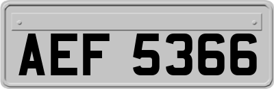 AEF5366