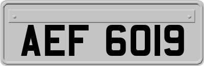 AEF6019