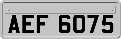 AEF6075