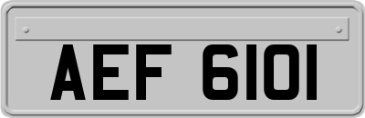 AEF6101
