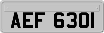 AEF6301