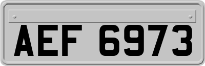 AEF6973