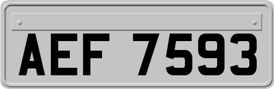AEF7593
