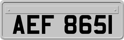 AEF8651