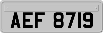 AEF8719