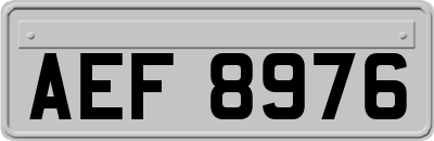 AEF8976