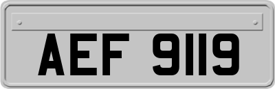 AEF9119