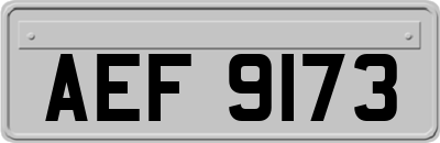 AEF9173