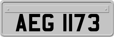 AEG1173
