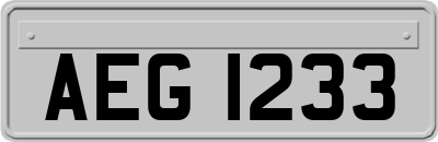 AEG1233
