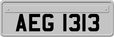 AEG1313