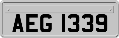 AEG1339