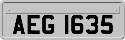 AEG1635
