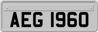 AEG1960