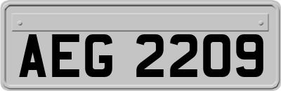 AEG2209