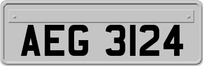 AEG3124