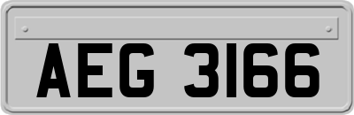 AEG3166
