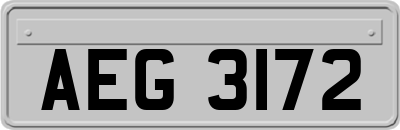 AEG3172