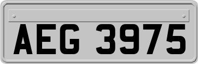 AEG3975
