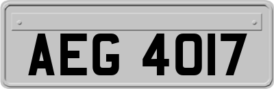 AEG4017