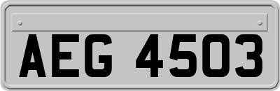 AEG4503
