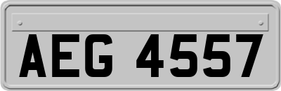 AEG4557