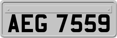 AEG7559