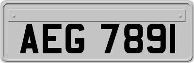 AEG7891