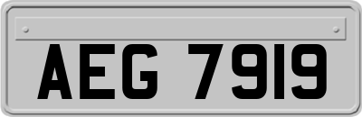 AEG7919