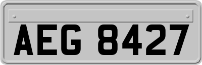 AEG8427