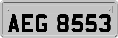 AEG8553