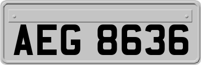AEG8636