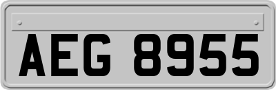 AEG8955
