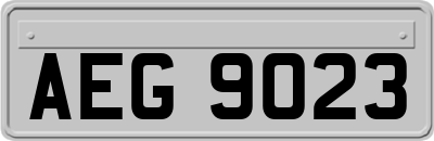 AEG9023
