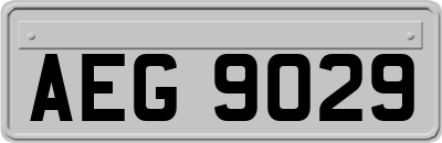 AEG9029