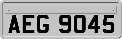 AEG9045