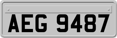 AEG9487