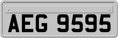 AEG9595