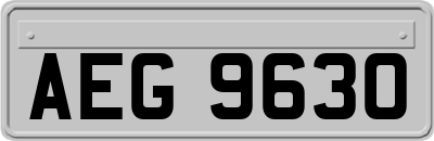 AEG9630