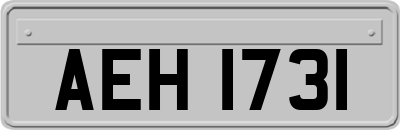 AEH1731