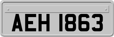 AEH1863