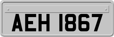 AEH1867