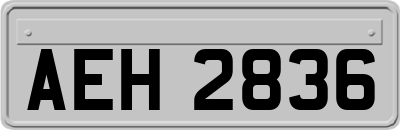 AEH2836