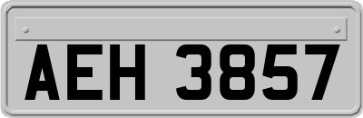 AEH3857