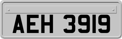 AEH3919