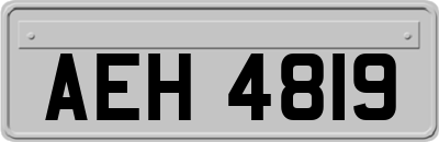 AEH4819