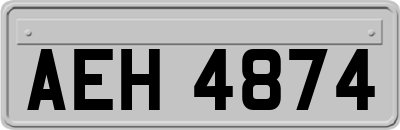 AEH4874