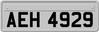 AEH4929
